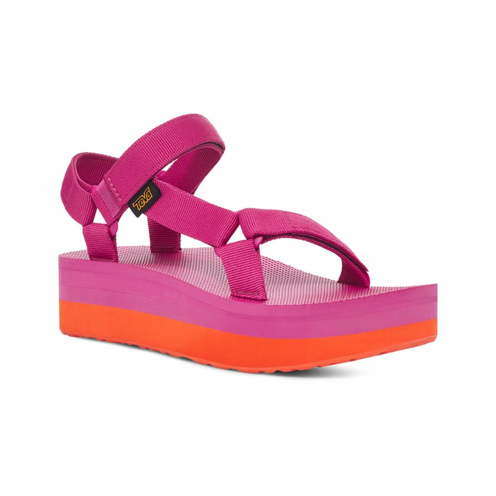ROSE VIOLET/ ORANGEADE