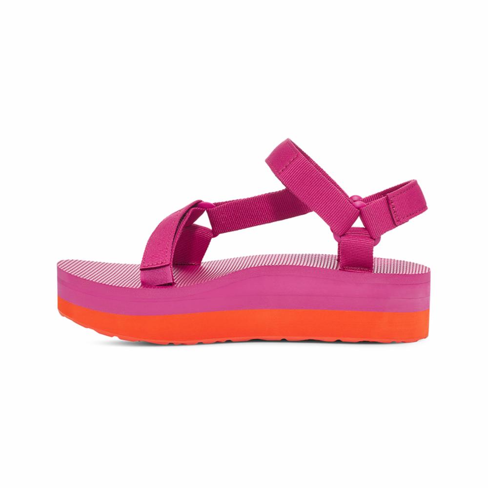 ROSE VIOLET/ ORANGEADE
