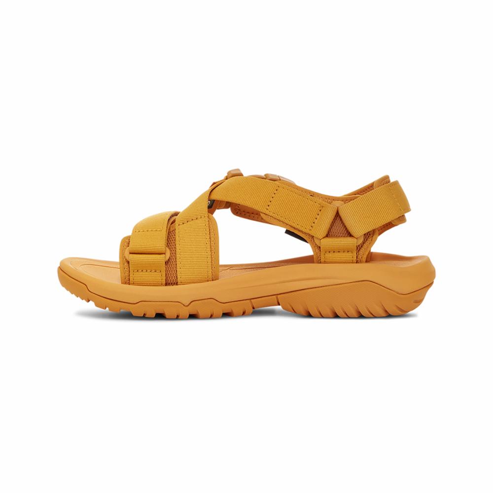 GOLDEN ORANGE