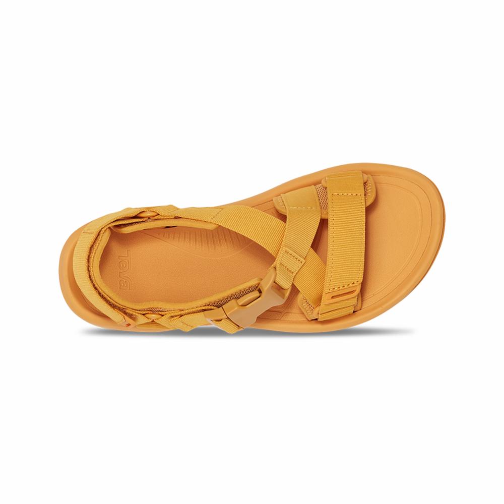 GOLDEN ORANGE