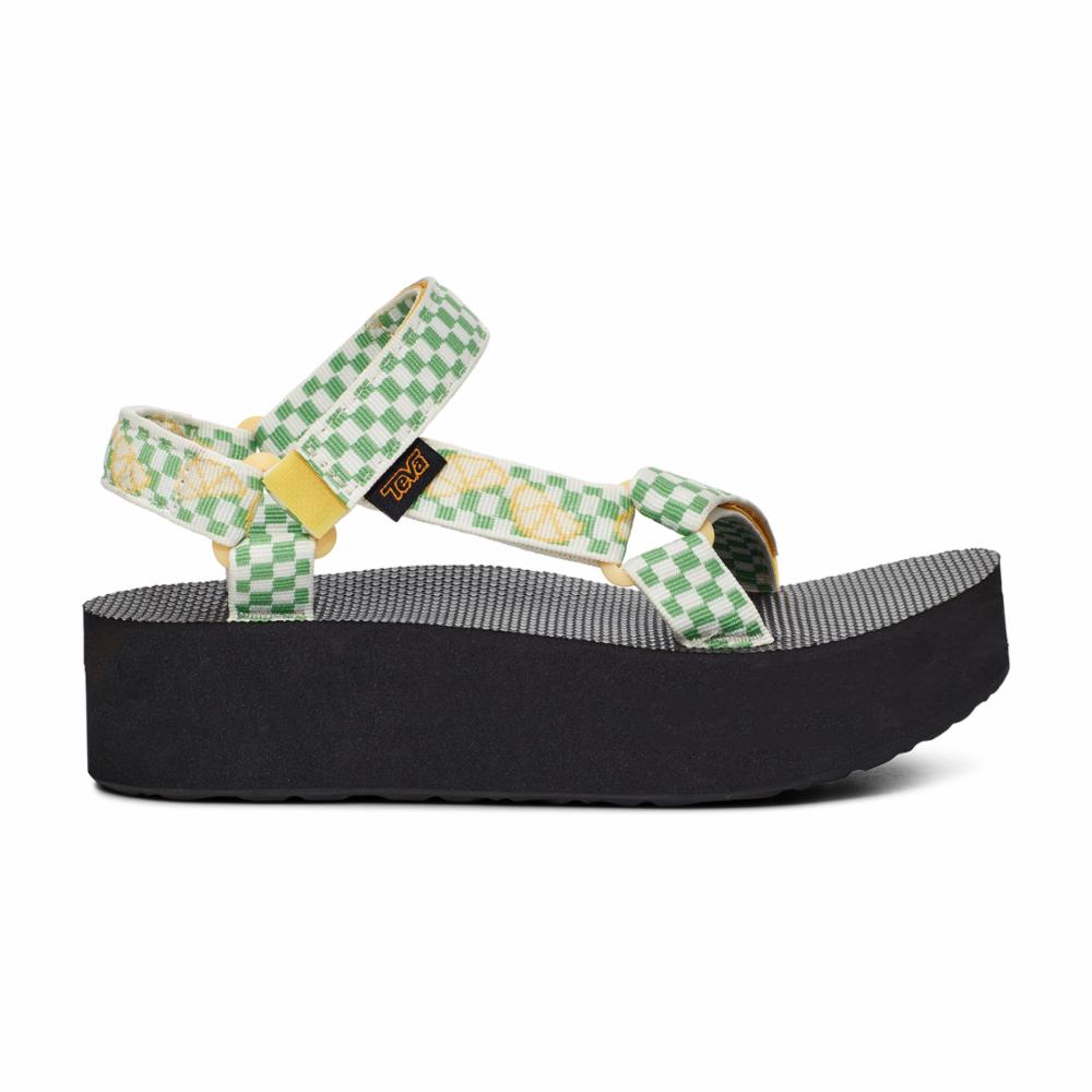 PICNIC SLICE YARROW