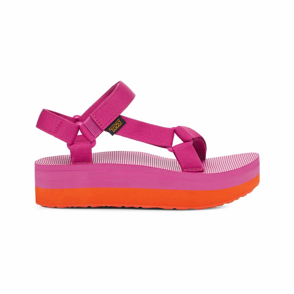 ROSE VIOLET/ ORANGEADE