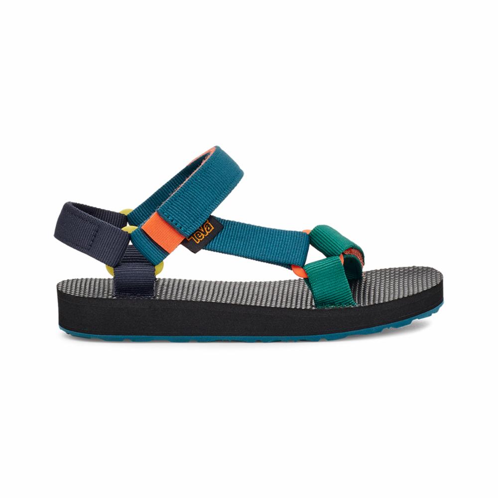 BLUE CORAL MULTI