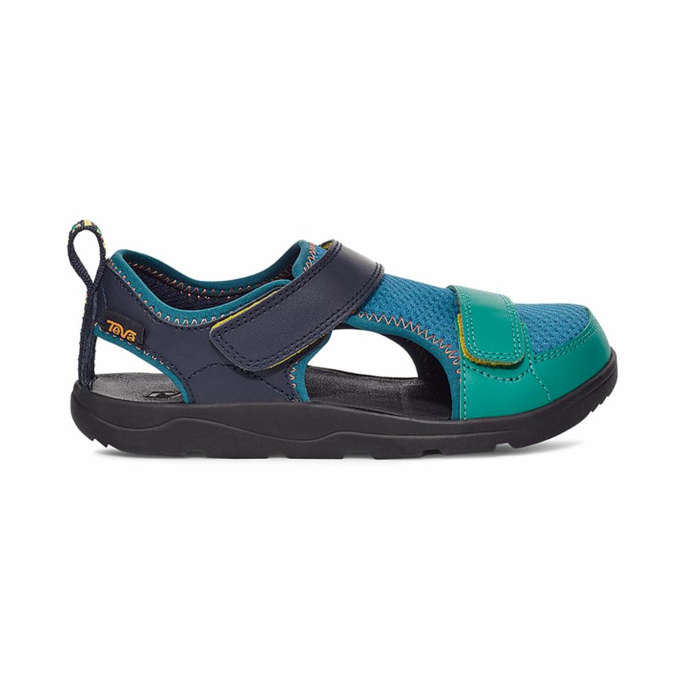 BLUE CORAL MULTI